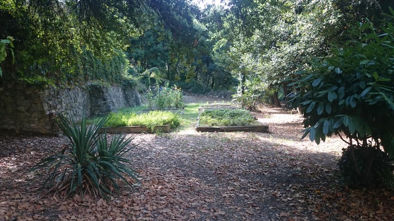 La cour et le Potager