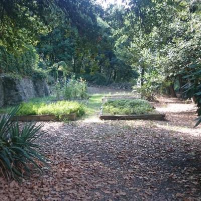 La cour et le Potager