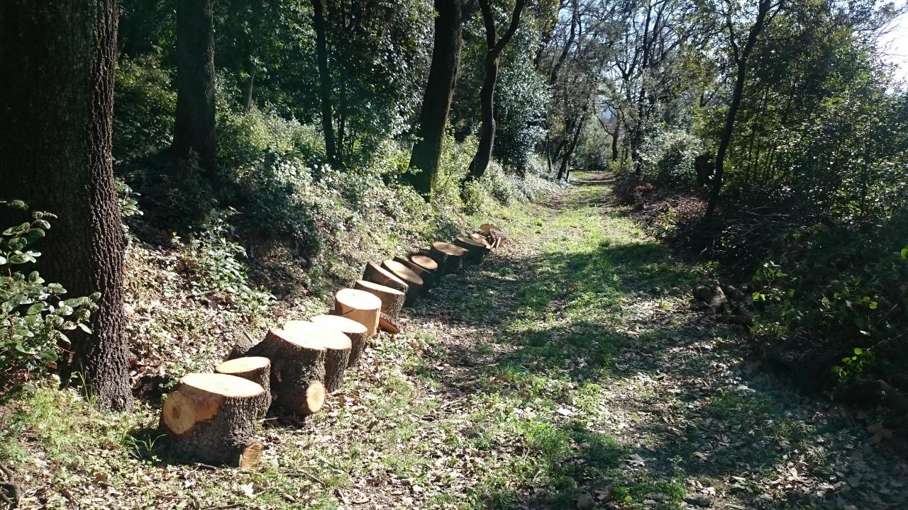 Le Bois de Chênes