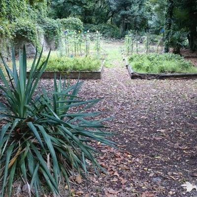 Le Potager bio